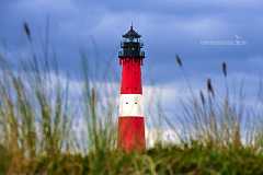 hoernum Der hübsche Leuchtturm Hörnum auf Sylt aus einer sehr tiefen Perspektive vor einigen Gräsern aufgenommen die den Turm so als Miniatur erscheinen lassen. Der...