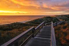 sehnsuchtswege Der malerische Holzbohlenweg in Wenningstedt auf Sylt bei Sonnenuntergang. Der geschwungene Weg durch die Dünen im letztem Licht des Tages wirkt durch seine...