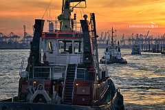 schlepper 2 Zwei Schlepper und eine Hafenfähre fahren in Hamburg auf der Elbe dem Sonnenuntergang entgegen. Der Himmel ist orangerot verfärbt. Im dunstigen Hintergrund...